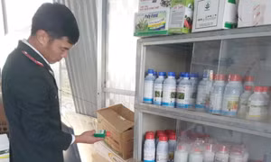 Siết chặt quản lý phân bón, thuốc bảo vệ thực vật