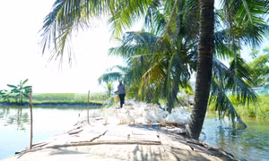 Phát huy vai trò của đoàn thể trong xây dựng nông thôn mới