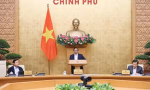 Thủ tướng chủ trì phiên họp Chính phủ thường kỳ tháng 11 