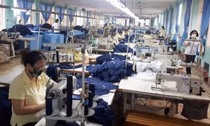 Quyết liệt thu hồi, giảm thiểu nợ đọng BHXH