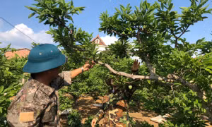 Khoa học và Công nghệ vì cuộc sống của nhân dân