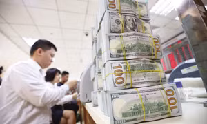 Tỷ giá dịu đi, thêm dư địa mở rộng chính sách tiền tệ