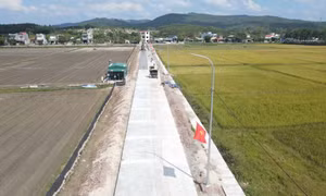 Hải Đông xây dựng NTM nâng cao