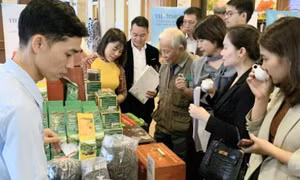 Doanh nghiệp đẩy mạnh khuyến mãi dịp cuối năm
