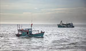 Mở đợt cao điểm về chống khai thác hải sản bất hợp pháp, không báo cáo và không theo quy định