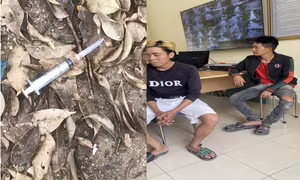 Công an Móng Cái: Liên tiếp bắt giữ tội phạm ma tuý