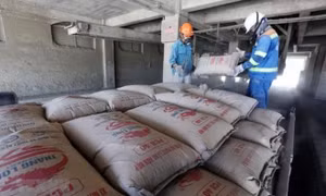 Thị trường vật liệu xây dựng 'chết' theo bất động sản
