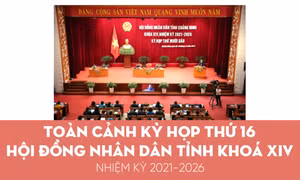 Toàn cảnh Kỳ họp thứ 16 Hội đồng nhân dân tỉnh khoá XIV, nhiệm kỳ 2021-2026 