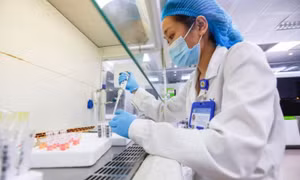 Dịch cúm A hoành hành miền Bắc 
