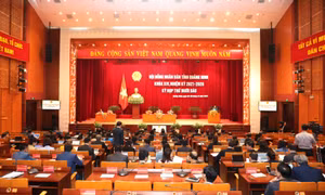 Ngày làm việc thứ hai, Kỳ họp thứ 16, HĐND tỉnh khóa XIV