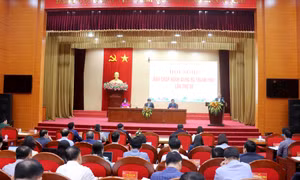 Hạ Long phải đi đầu trong phát triển kinh tế số, xã hội số để tạo ra nguồn lực, động lực mới cho phát triển