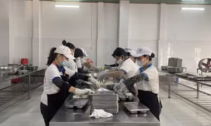 Tăng cường quản lý đảm bảo ATVSTP trong các cơ sở giáo dục trên địa bàn tỉnh