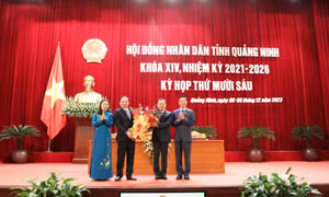 Bản tin Quảng Ninh ngày 7/12/2023