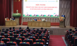 Công ty CP Than Hà Lầm phấn đấu đào mới gần 12.000m lò năm 2024