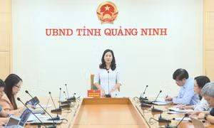 UBND tỉnh họp nghe báo cáo tình hình thực hiện tiêm vắc xin phòng Covid-19 mũi 4 và tiêm cho trẻ em