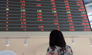 Thị trường chìm trong 'biển lửa', hơn 800 mã chứng khoán đồng loạt rớt giá