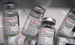 Moderna: Vaccine đặc hiệu chống biến thể Omicron sinh miễn dịch tốt