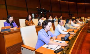 Thông qua bổ sung đối tượng được xét tặng danh hiệu Nghệ sĩ nhân dân, Nghệ sĩ ưu tú