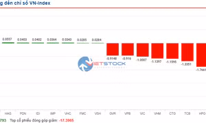 VN-Index lại bốc hơi gần 37 điểm, nên đầu tư nhóm ngành nào trong thời gian tới?