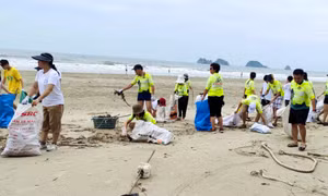 Chung tay làm sạch bãi biển Trường Chinh, đảo Ngọc Vừng