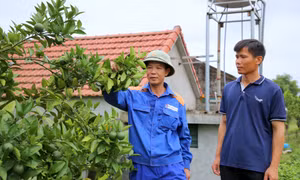 Sức mạnh từ "ý Đảng - lòng dân"
