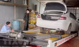Hải quan rà soát, kiểm tra hoạt động các tổ chức nhận xe biếu, tặng