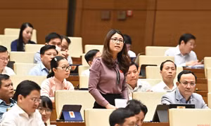 Đề xuất đưa sách giáo khoa vào danh mục hàng hóa được Nhà nước định giá