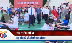 Giọt hồng đất mỏ - Kết nối dòng máu Việt