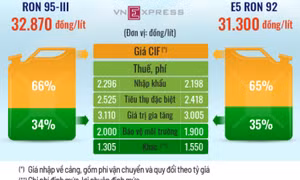 Gần một nửa tàu cá ngừng hoạt động vì giá xăng dầu cao kỷ lục