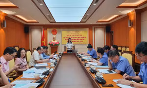 Ban Pháp chế, HĐND tỉnh, thẩm tra báo cáo của Viện Kiểm sát nhân dân tỉnh 