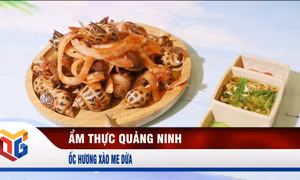 Ốc hương xào me dừa