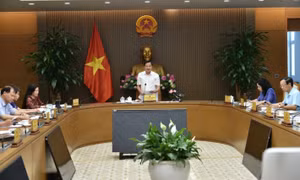 Chủ động kiểm tra yếu tố hình thành giá khi hàng hóa có biến động bất thường