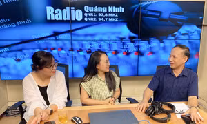 Tâm trong, Bút sắc 
