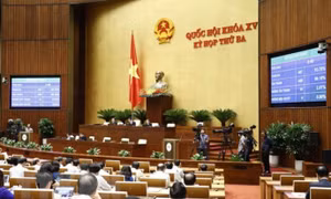 Kỳ họp thứ 3, Quốc hội khóa XV: Thông qua Luật Điện ảnh sửa đổi