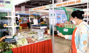 Chuyển đổi số: Nhìn từ cơ sở