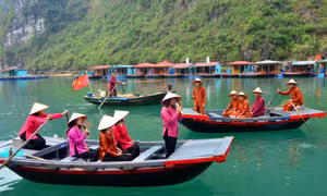 Bảo tồn Di sản thiên nhiên thế giới Vịnh Hạ Long