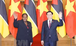 Việt Nam đặc biệt coi trọng quan hệ hợp tác, hữu nghị với Mozambique