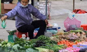 Bình quân 6 tháng đầu năm, CPI đã tăng 2,44% so với cùng kỳ