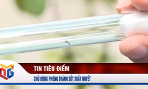 Chủ động phòng tránh sốt xuất huyết 