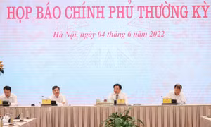 Họp báo Chính phủ thường kỳ tháng 5