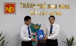 Phim chính luận cuốn hút và tươi mới