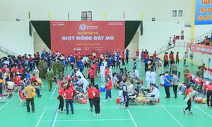 “Giọt hồng Đất mỏ - Kết nối dòng máu Việt”
