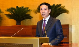 Thúc đẩy quản lý, sử dụng tần số vô tuyến điện hiệu quả