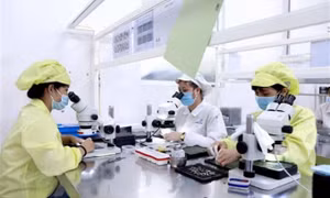 Chỉ thị của Thủ tướng về việc tăng cường công tác thống kê Nhà nước