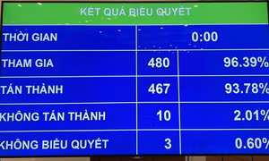 Từ 1-9-2022, thí điểm tổ chức hoạt động lao động, hướng nghiệp, dạy nghề cho phạm nhân ngoài trại giam