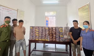 Bí mật trong những thùng đựng hải sản
