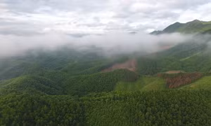 Bản tin Quảng Ninh ngày 20/6/2022