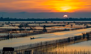 Săn bình minh đẹp mê hoặc trên đầm Chuồn