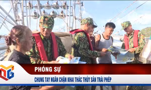 Chung tay ngăn chặn khai thác thủy sản trái phép
