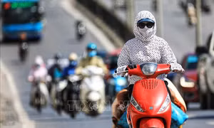 Hầu hết các khu vực có chỉ số tia cực tím gây hại cao đến rất cao